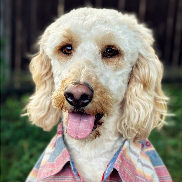 It’s me. ✌🏻 - Picture 1 of 1